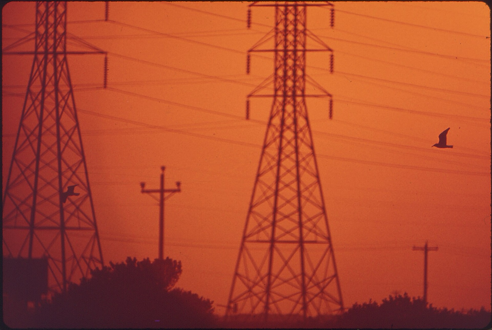 High-voltage transmission lines silhouetted against the sun near Galveston Bay in Texas, one of 17 states under the federal order. Photo: Jim Olive / Wikimedia Commons, Public domain