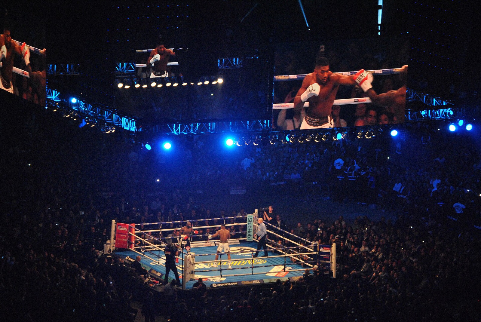 Anthony Joshua throws a punch during a heavyweight bout in a packed arena. Photo: Seth Whales / Wikimedia Commons, CC BY-SA 4.0