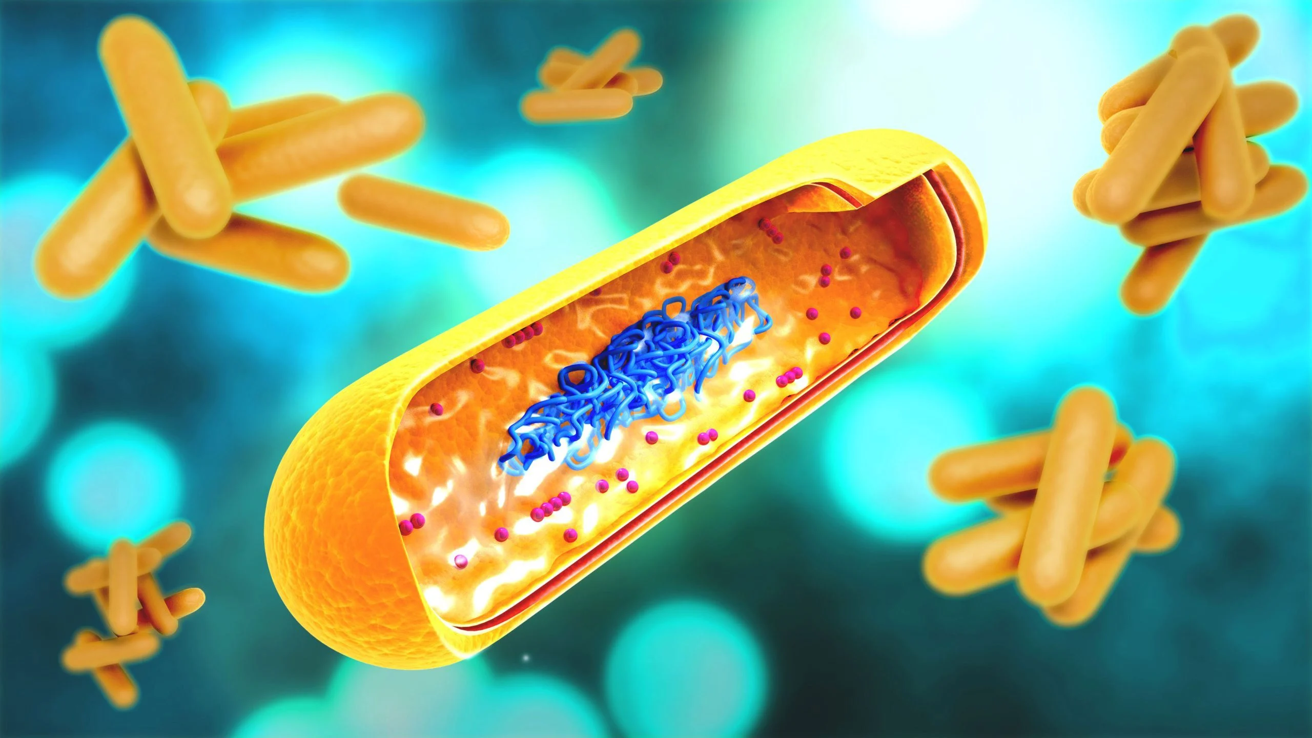 Illustration of a nasally delivered DNA vaccine targeting tuberculosis bacteria in the lungs. Photo: SciTechDaily