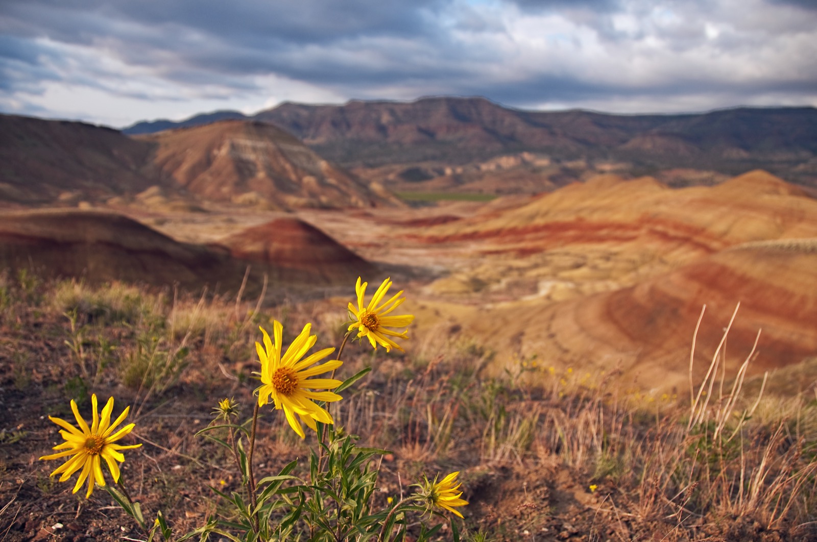 Layered red and gold hills under a clear sky at the Painted Hills unit of John Day Fossil Beds National Monument in Oregon. Photo: samiamx / Wikimedia Commons, CC BY 2.0